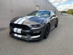 Thumbnail Photo 8 for 2017 Ford Mustang Shelby GT350 Coupe